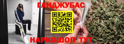 крисы Будённовск