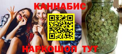 крисы Будённовск