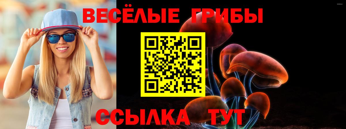 где купить   Псилоцибиновые грибы мухоморы  Корсаков  Вход с VPN  Галлюциногенные грибы мухоморы 
